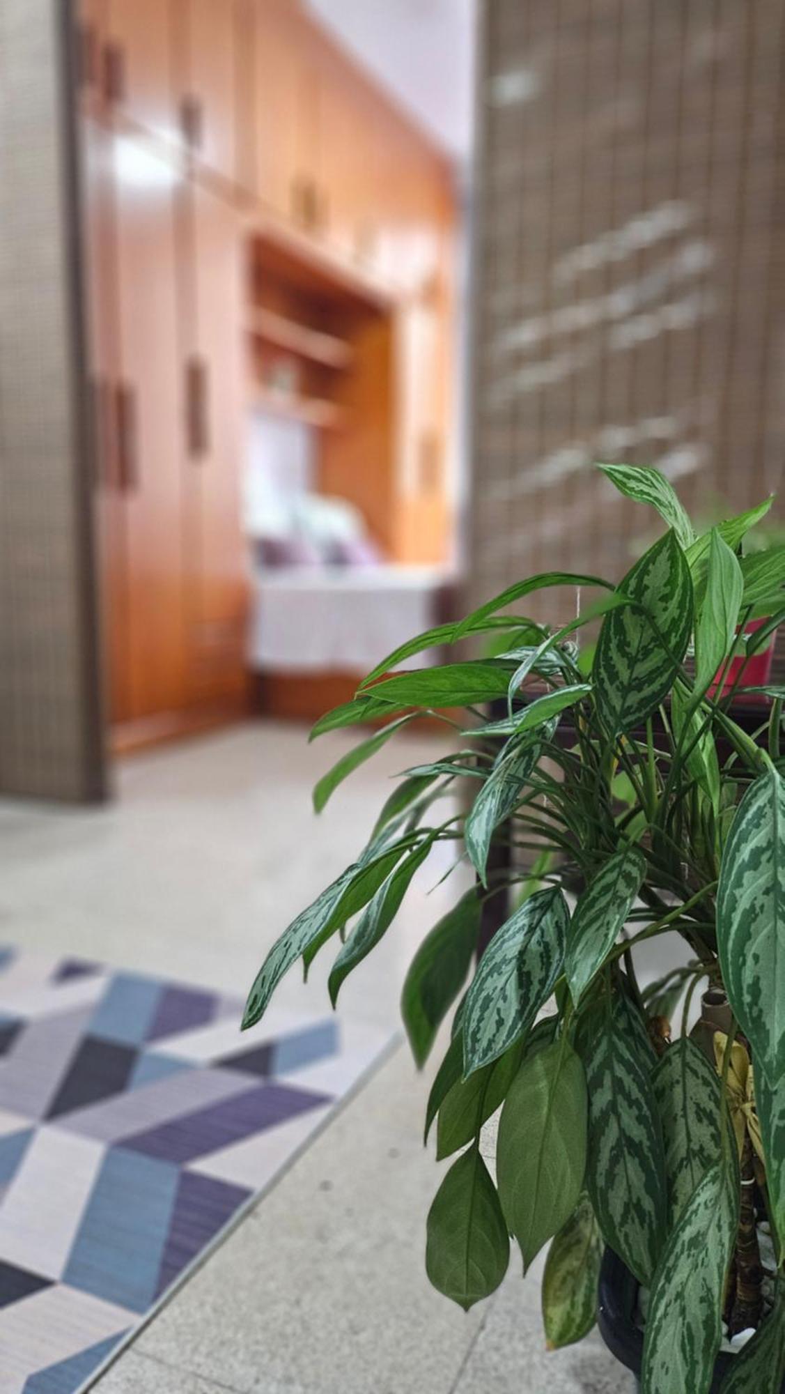 Copacabana Lofts Apartamento *